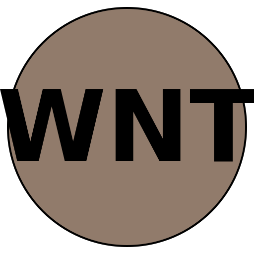 WhizNation Travel